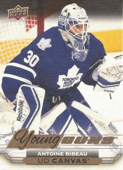 #C113 Antoine Bibeau - Toronto Maple Leafs - 2015-16 Upper Deck - UD Canvas Hockey