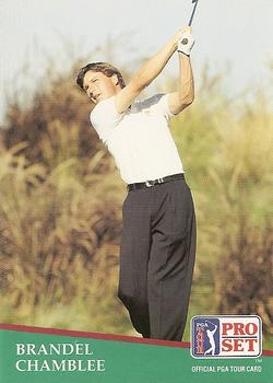 #15 Brandel Chamblee - 1991 Pro Set PGA Tour Golf
