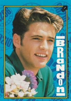 #1 Brandon - 1991 Topps Beverly Hills 90210 - Stickers