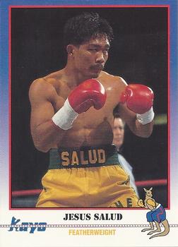 #209 Jesus Salud - 1991 Kayo Boxing
