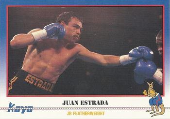 #238 Juan Estrada - 1991 Kayo Boxing