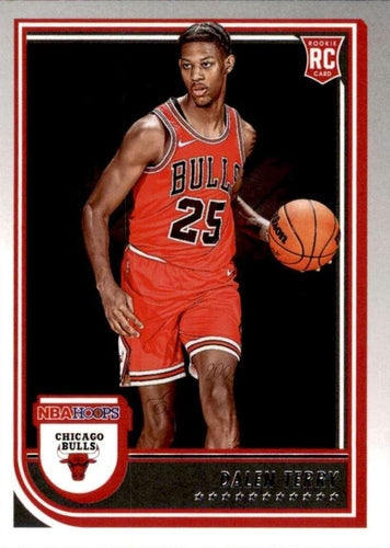 #248 Dalen Terry - Chicago Bulls - 2022-23 Hoops Basketball