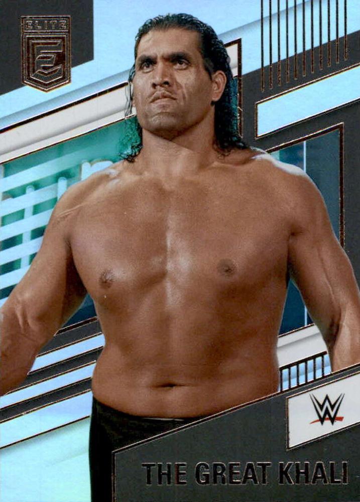 #255 The Great Khali - 2022 Panini Chronicles WWE Wrestling