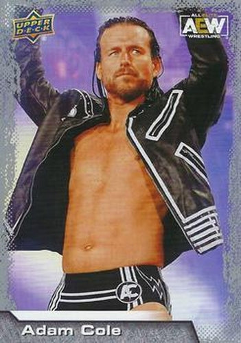 #27 Adam Cole - 2022 Upper Deck AEW Wrestling