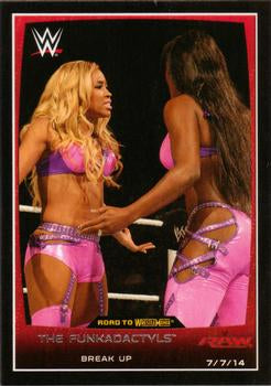 #33 The Funkadactyls - 2015 Topps WWE Road to Wrestlemania Wrestling