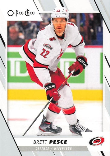 #355 Brett Pesce - Carolina Hurricanes - 2023-24 O-Pee-Chee Hockey