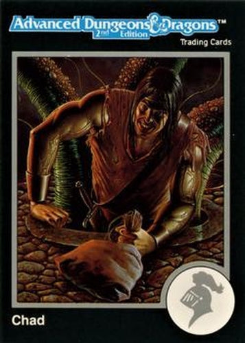#358 Chad - 1991 TSR Advanced Dungeons & Dragons - Silver