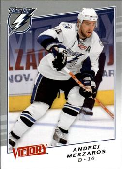 #293 Andrej Meszaros - Tampa Bay Lightning - 2008-09 Upper Deck Victory Hockey