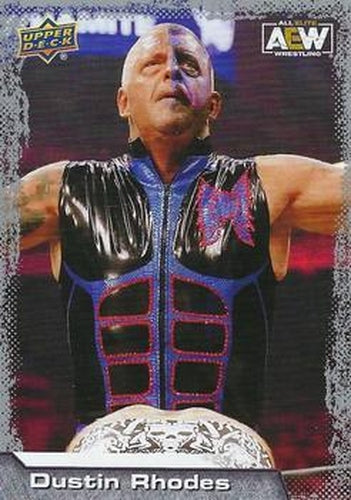 #46 Dustin Rhodes - 2022 Upper Deck AEW Wrestling