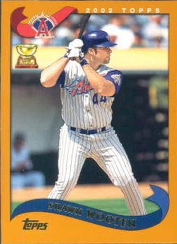 #563 Shawn Wooten - Anaheim Angels - 2002 Topps Baseball