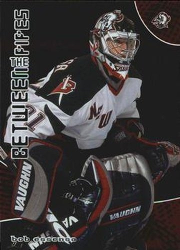 #70 Bob Essensa - Buffalo Sabres - 2001-02 Be a Player Between the Pipes Hockey