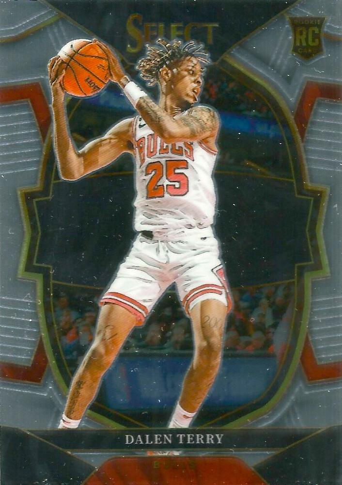 #89 Dalen Terry - Chicago Bulls - 2022-23 Panini Select Basketball