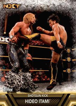 #F-40 Hideo Itami - 2017 Topps WWE Then Now Forever - Finishers and Signature Moves Wrestling