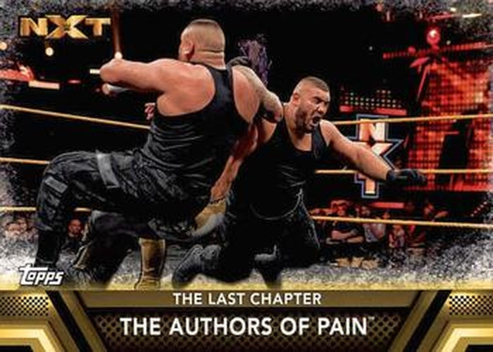 #F-46 The Authors of Pain - 2017 Topps WWE Then Now Forever - Finishers and Signature Moves Wrestling