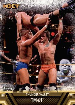 #F-48 TM-61 - 2017 Topps WWE Then Now Forever - Finishers and Signature Moves Wrestling
