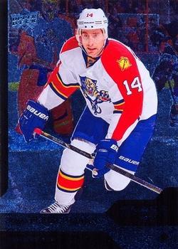 #100 Tomas Fleischmann - Florida Panthers - 2013-14 Upper Deck Black Diamond Hockey