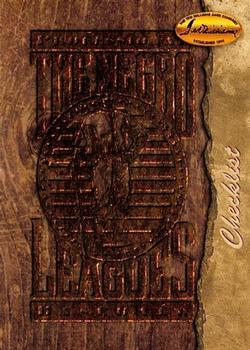 #117 Negro Leagues Checklist - 1994 Ted Williams Baseball