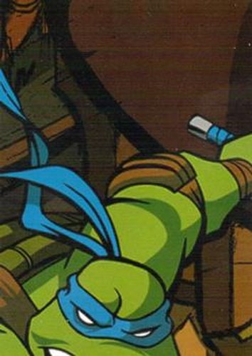 #113 Puzzle D Piece 2 - 2003 Fleer Teenage Mutant Ninja Turtles