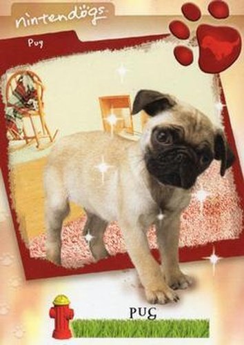 #12 Pug - 2005 Nintendogs