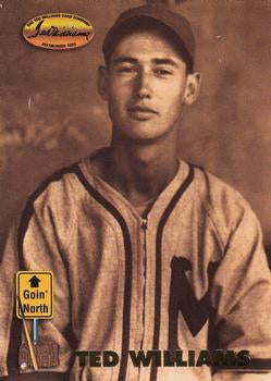 #148 Ted Williams - Boston Red Sox - 1993 Ted Williams Baseball