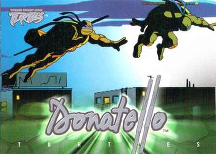 #15 Character Overview - 2003 Fleer Teenage Mutant Ninja Turtles