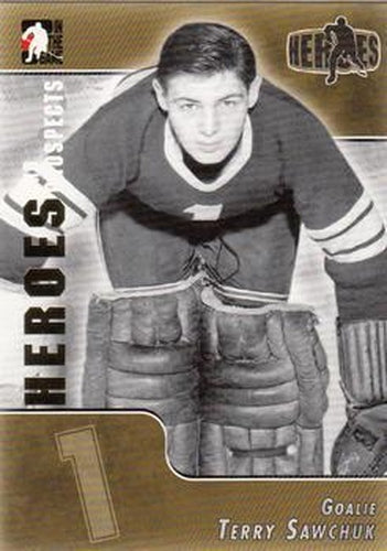 #165 Terry Sawchuk - Indianapolis Capitals - 2004-05 In The Game Heroes and Prospects Hockey