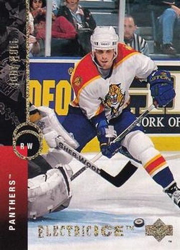 #176 Jody Hull - Florida Panthers - 1994-95 Upper Deck Hockey - Electric Ice