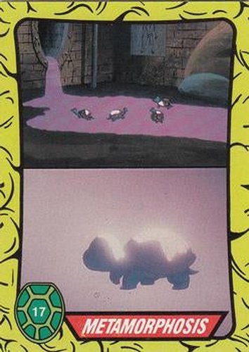 #17 Metamorphosis - 1989 O-Pee-Chee Teenage Mutant Ninja Turtles