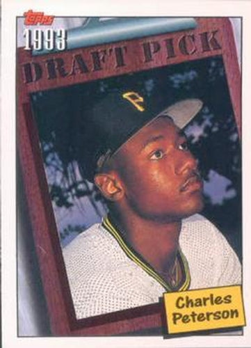 #207 Charles Peterson - Pittsburgh Pirates - 1994 Topps Baseball