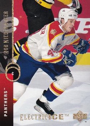 #287 Rob Niedermayer - Florida Panthers - 1994-95 Upper Deck Hockey - Electric Ice