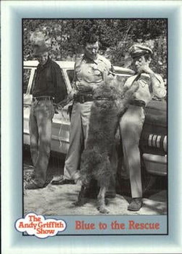 #292 Blue to the Rescue - 1990-91 Pacific The Andy Griffith Show