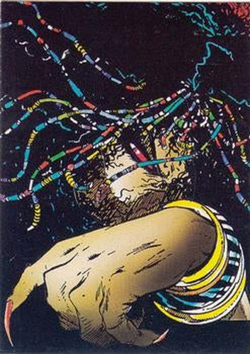#23 The Witch - 1992 Comic Images Spider-Man: The McFarlane Era