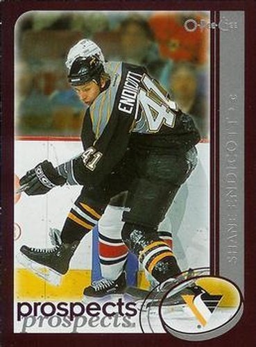 #311 Shane Endicott - Pittsburgh Penguins - 2002-03 O-Pee-Chee Hockey