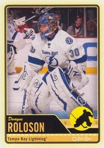 #348 Dwayne Roloson - Tampa Bay Lightning - 2012-13 O-Pee-Chee Hockey