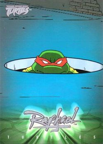 #34 Fact Card - 2003 Fleer Teenage Mutant Ninja Turtles