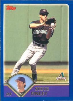 #408 Steve Finley - Arizona Diamondbacks - 2003 Topps Baseball