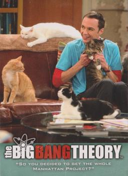 #45 "So you decided to get the whole Manhattan Project - 2013 Big Bang Theory Seasons 3 & 4