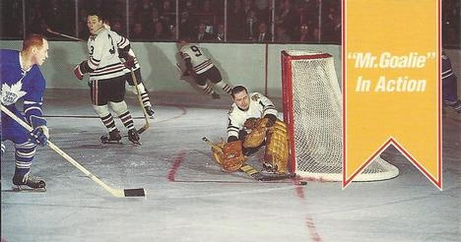 #165 Mr. Goalie in Action - Chicago Blackhawks - 1994-95 Parkhurst Tall Boys 1964-65 Hockey
