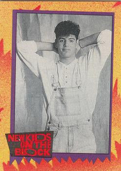 #48b Did You Know... - 1989 Topps New Kids on the Block