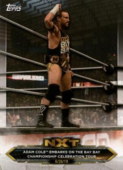 #4 Adam Cole - 2020 Topps WWE NXT Wrestling