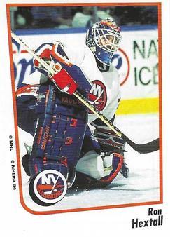 #54 Ron Hextall - Philadelphia Flyers - 1994-95 Panini Hockey Stickers