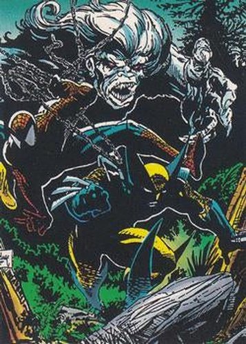 #56 Into the Woods - 1992 Comic Images Spider-Man: The McFarlane Era