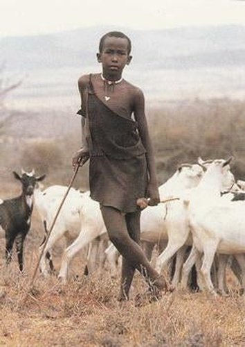 #40 Indy watches the Masai kraal far below. He s - 1992 Pro Set Young Indiana Jones