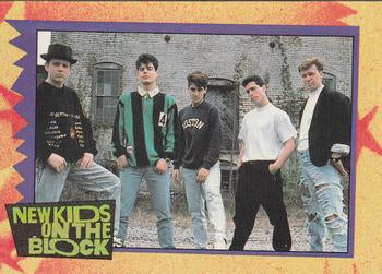 #3a Setting Records! - 1989 Topps New Kids on the Block