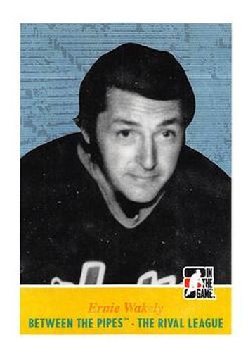 #100 Ernie Wakely - Winnipeg Jets - 2008-09 In The Game Between The Pipes Hockey