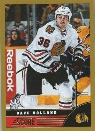 #102 Dave Bolland - Chicago Blackhawks - 2013-14 Score - Gold Hockey