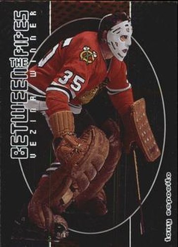 #119 Tony Esposito - Chicago Blackhawks - 2001-02 Be a Player Between the Pipes Hockey