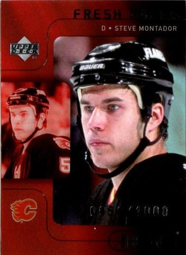 #130 Steve Montador - Calgary Flames - 2001-02 Upper Deck Ice Hockey