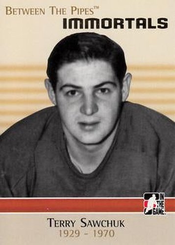 #132 Terry Sawchuk - Detroit Red Wings / Toronto Maple Leafs - 2006-07 In The Game Between The Pipes Hockey