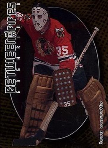 #144 Tony Esposito - Chicago Blackhawks - 2001-02 Be a Player Between the Pipes Hockey